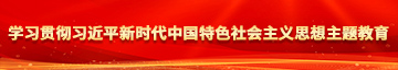 俄罗斯插无毛B视频学习贯彻习近平新时代中国特色社会主义思想主题教育